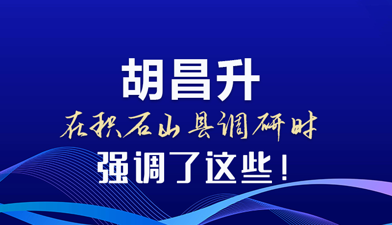 图解|胡昌升在积石山县调研时强调了这些!
