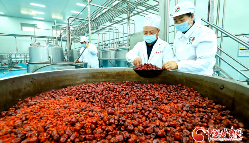 陇原山乡新画卷·陇拍客丨临泽：智能数字化生产为红枣深加工添双翼