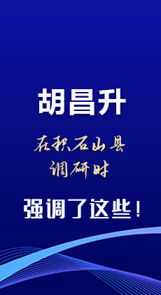 图解|胡昌升在积石山县调研时强调了这些！