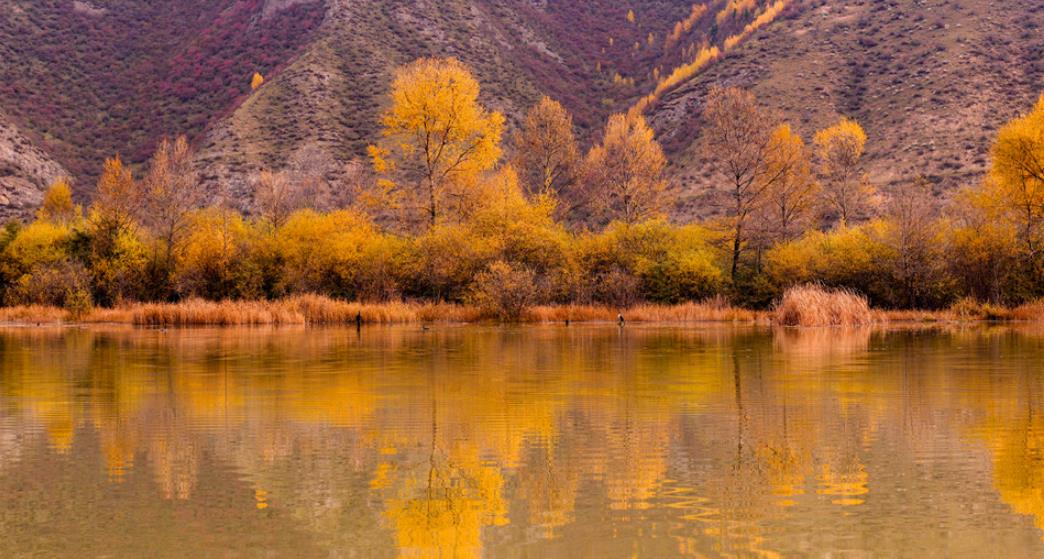 五彩山林似油画 洮河冬韵绘诗篇