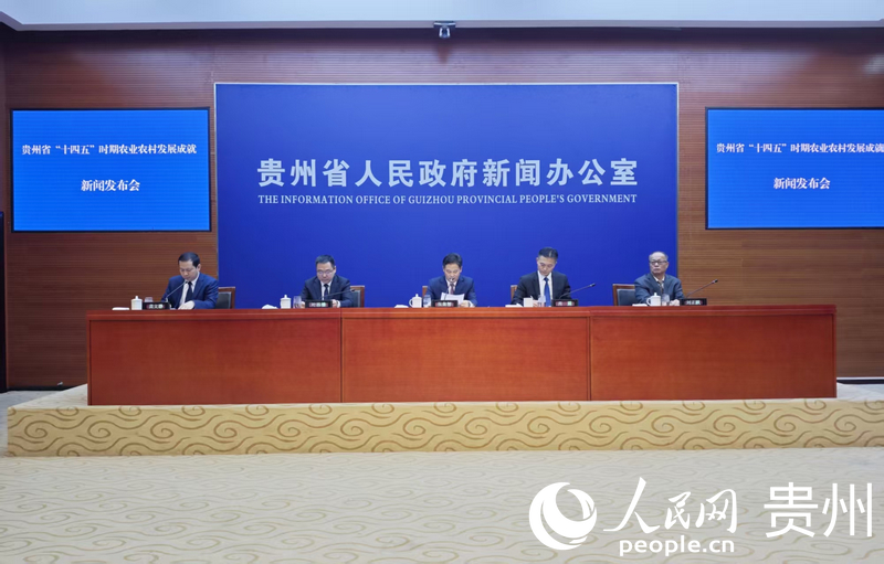 新闻发布会现场。人民网龙章榆摄