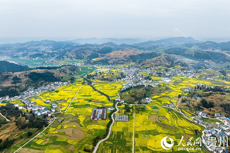 5、桐梓县官仓镇“两清两改两治理”扮靓田园乡景。涂敏摄