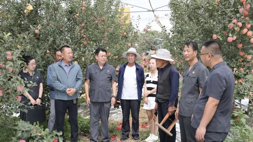 打造群众家门口的“一站式”解忧中心 庆阳以综治中心实战化提升平安建设效能