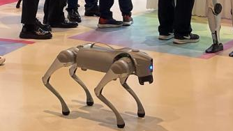 热闹的机器人行业：驱动供应商提升速与质