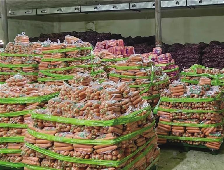 兰州市七里河区2300吨冬春蔬菜储备到位