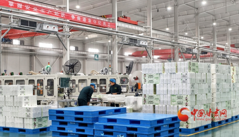 四中全会精神在基层 高质量发展调研行|一“纸”独秀链出新产业