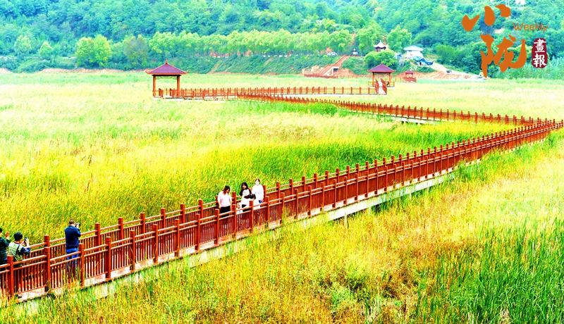 【小陇画报·437期】初冬,礼县美的像“油画世界”