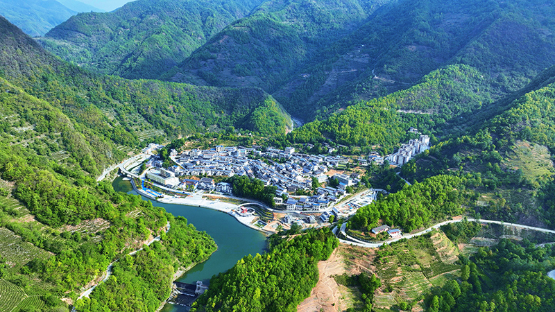 武都：绿染产业路 生态富民生