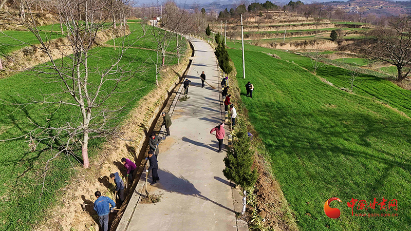 陇原山乡新画卷|成县：村路畅 粮仓满