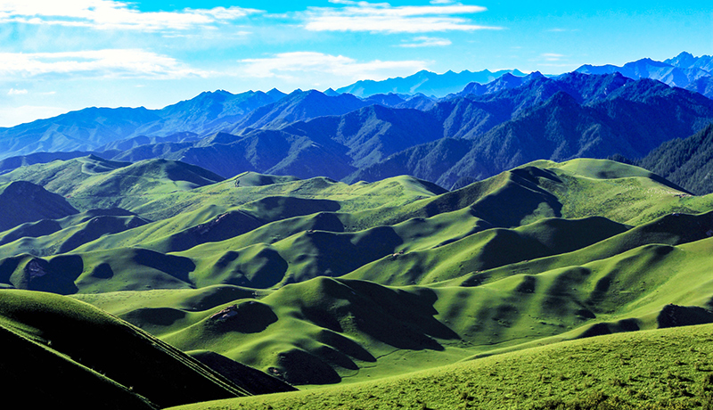 民乐：“三北”工程建设成果显著 绿色发展底色更浓