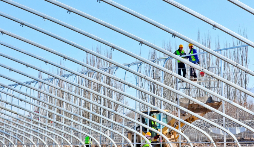 高台：冬日设施蔬菜产业基地建设忙