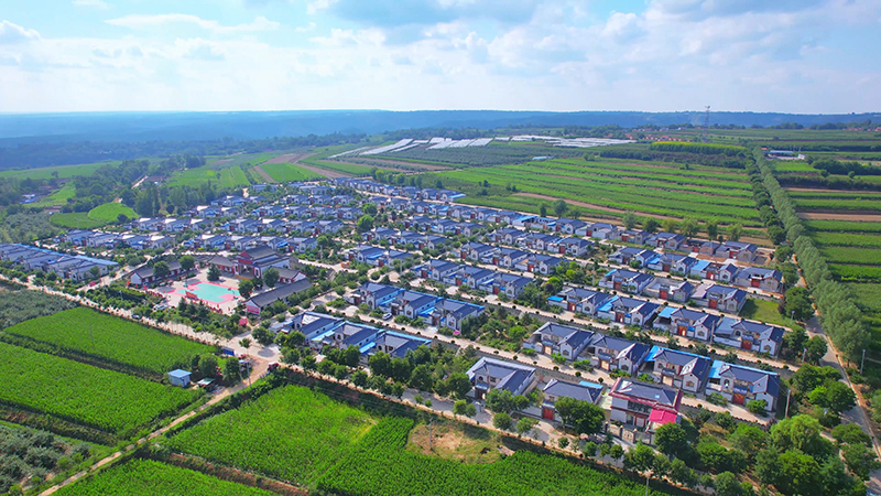 泾川：产业夯基赋能振兴