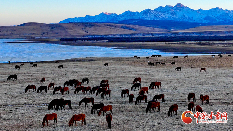 陇拍客丨山丹：落日祁连 骏马奔腾牧歌扬