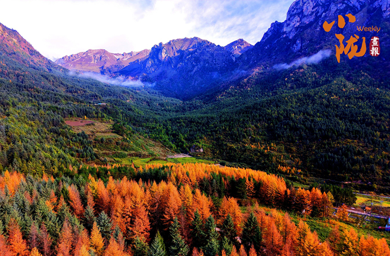 绚丽赛尔布 斑斓满眼秋