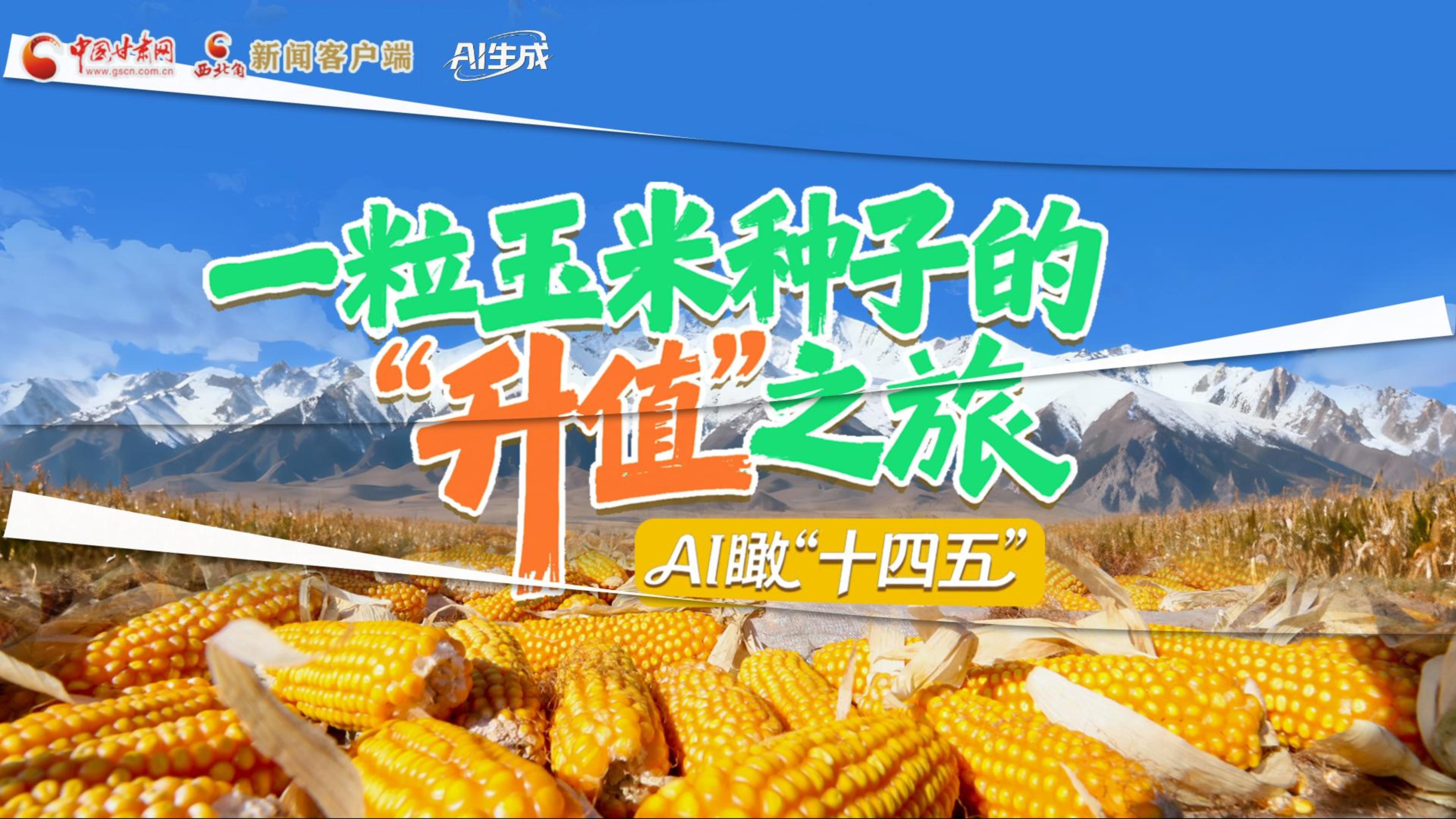 AI瞰甘肃“十四五”|张掖：一粒玉米种子的“升值”之旅