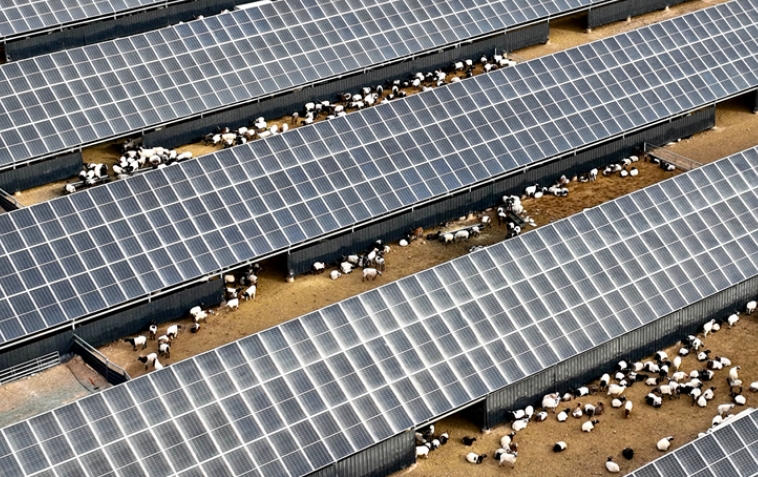 山丹：牧光互补收益丰