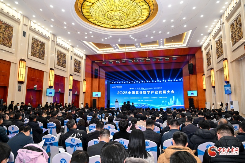 2025中国算谷数字产业发展大会在庆阳举办