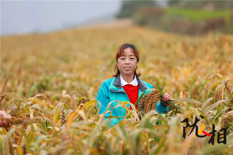 【陇人相214期】人大代表王华:履职心系“土宝贝” 会宁杂粮闯出大市场