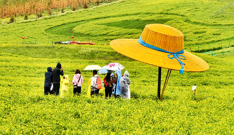 生态优先筑底色