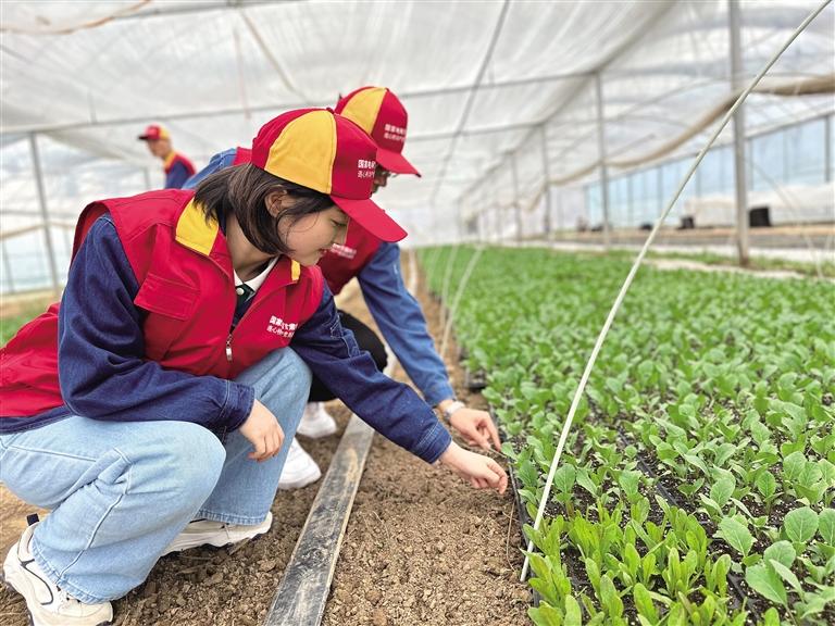 电网升级强基础 精准帮扶兴产业