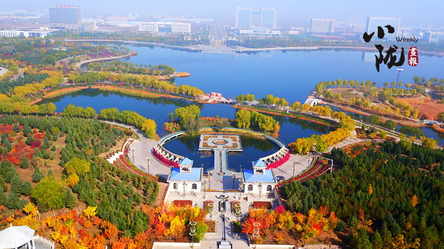 【优化营商环境三年行动】金昌“23条”+“服务卡” 打造暖心营商新生态