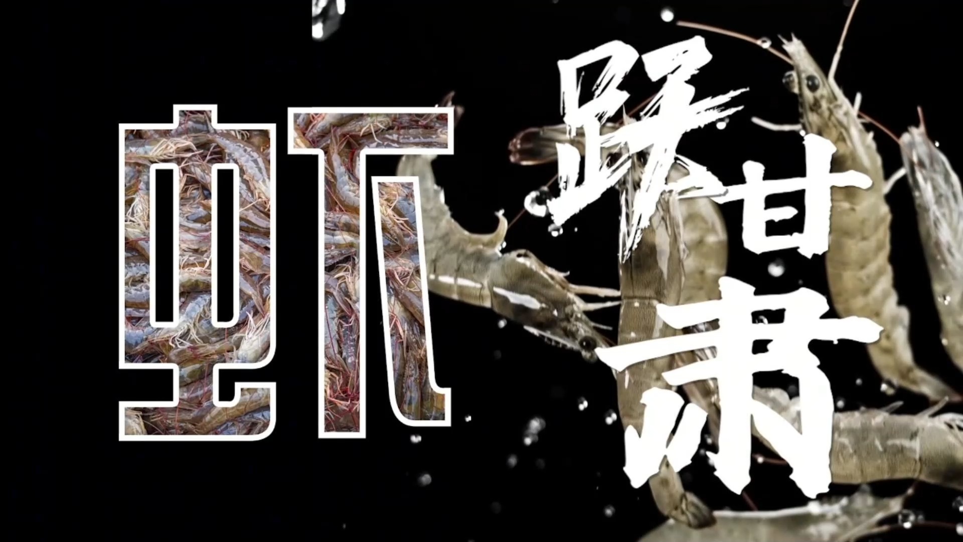 文艺赋能乡村振兴“十百千万”工程百部微电影展播（第二季）微电影《虾跃甘肃》