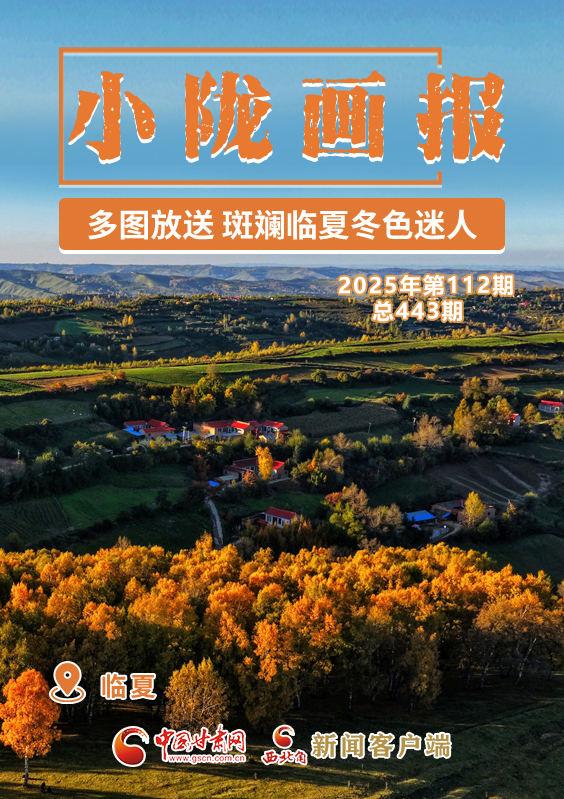 【小陇画报·443期】多图放送 斑斓临夏冬色迷人