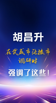 图解|胡昌升在武威市张掖市调研时强调这些！