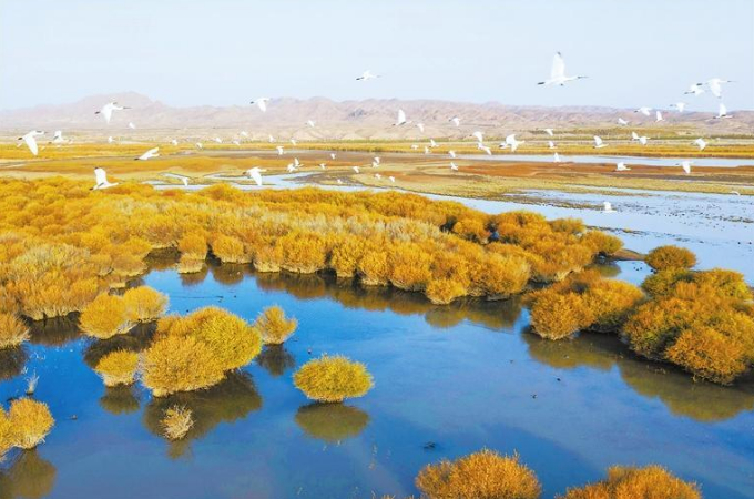 武威大地上的非遗珍宝