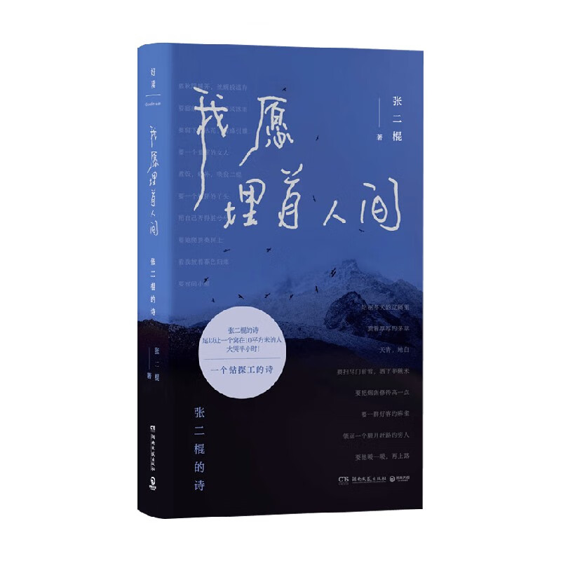 张二棍《我愿埋首人间》：在大地上行吟 在人世间客居