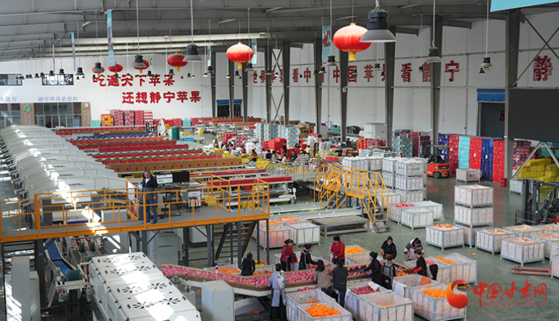 乡村振兴看甘肃|静宁：人才赋能高质量发展