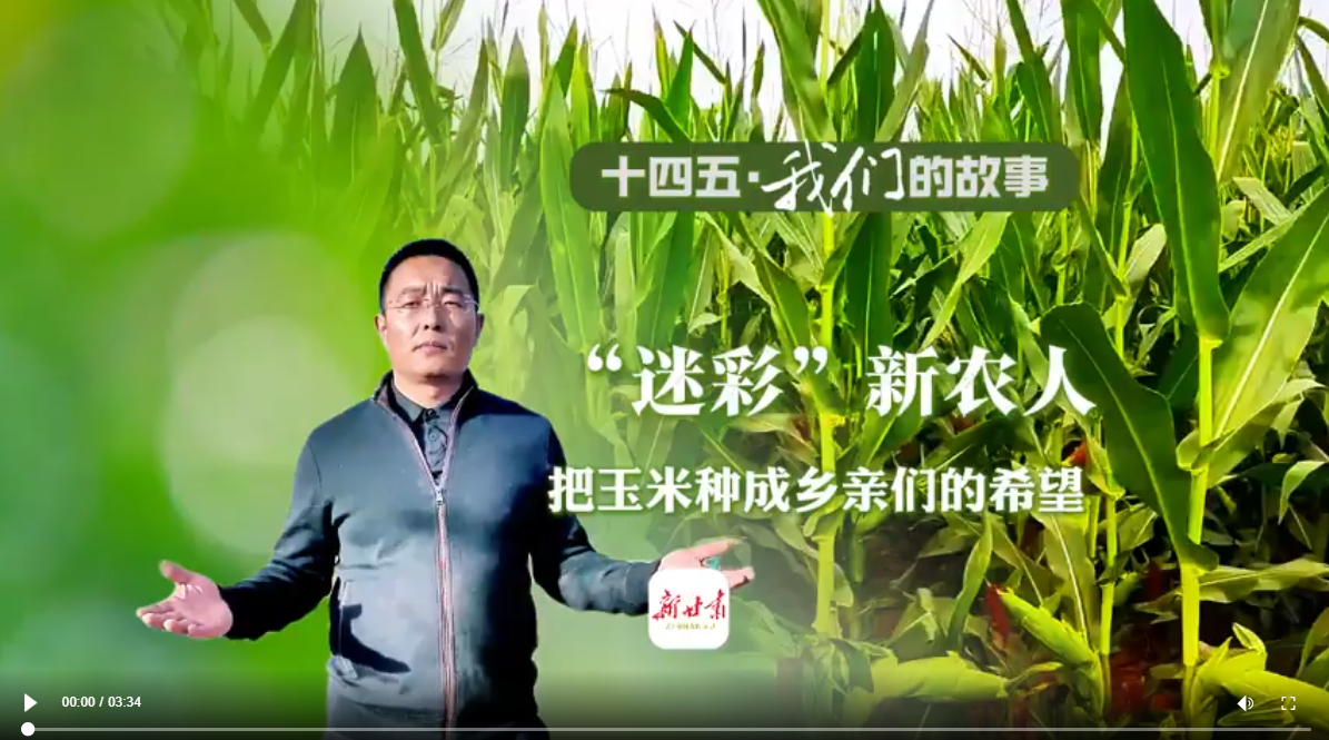 【甘快看·十四五·我们的故事】“迷彩”新农人 把玉米种成乡亲们的希望 