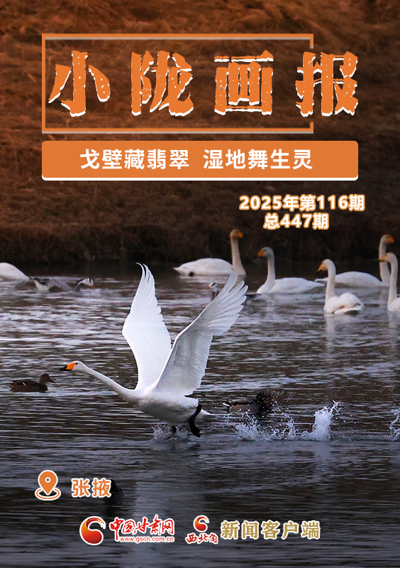 【小陇画报·447期】张掖：戈壁藏翡翠 湿地舞生灵