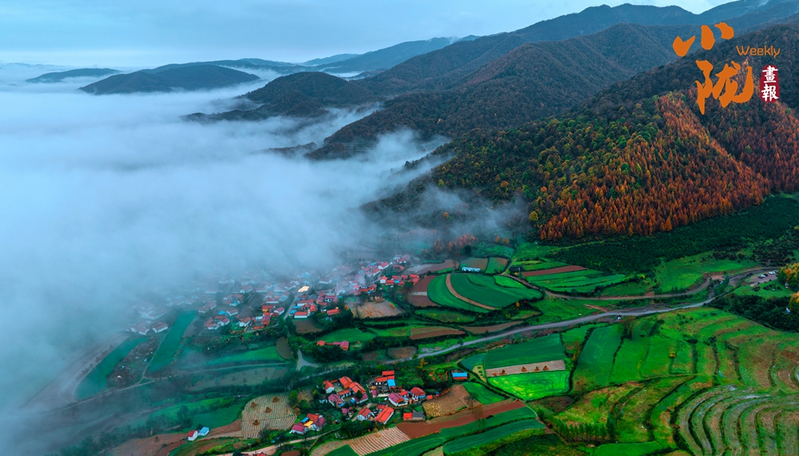 【小陇画报·448期】华亭：藏在冬日里的斑斓秋景