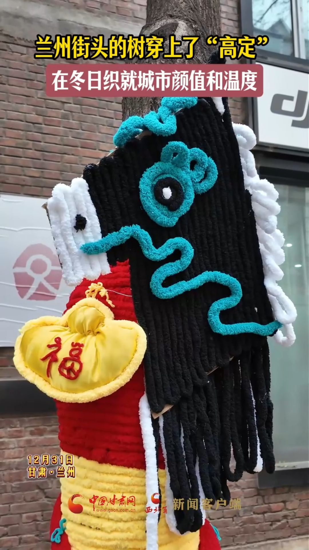 兰州街头的树穿上了“高定”，在冬日织就城市颜值和温度