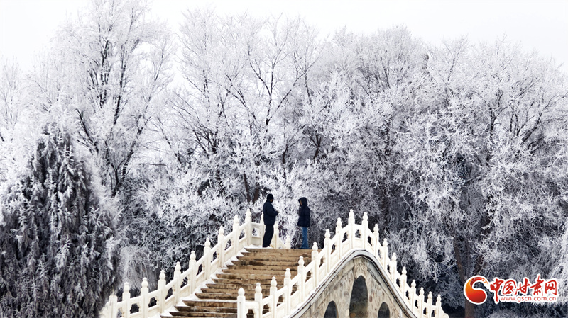 陇拍客丨民乐县雪后雾凇：北国壮阔与温柔静谧交织