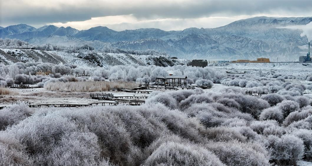 雾漫肃北 玉树凝霜绘就西北别样秘境