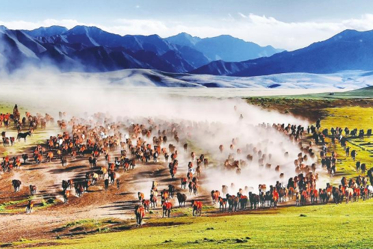 以“马”破题 山丹文旅的国际化突围