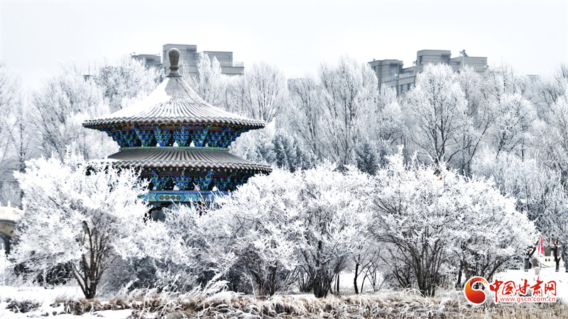 民乐县雪后雾凇