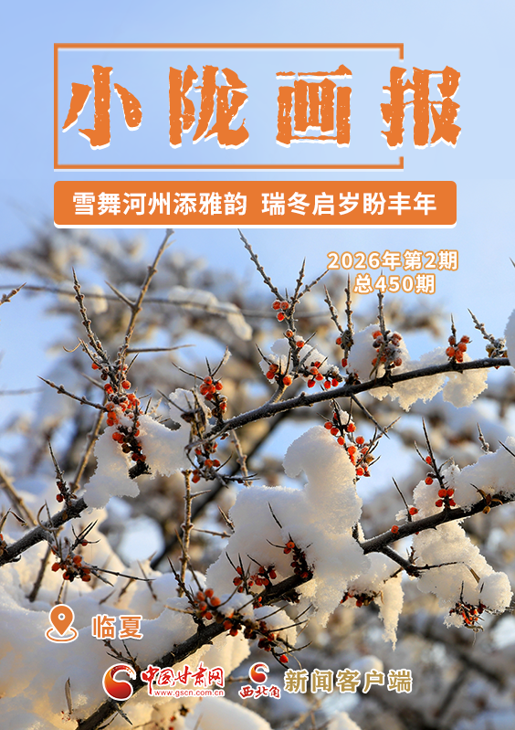 【小陇画报·450期】雪舞河州添雅韵 瑞冬启岁盼丰年