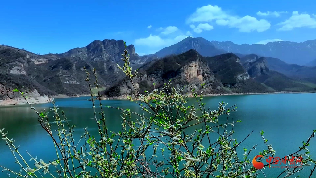 【陇拍客】太子山自然保护区大湾滩：多彩四季绘就生态长卷
