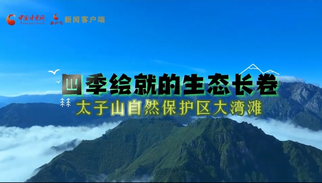 【陇拍客】太子山自然保护区大湾滩：多彩四季绘就生态长卷