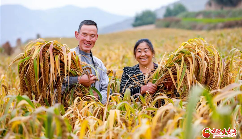 陇原山乡新画卷丨白银会宁：搭台拓路盘活棋 集体经济提质效