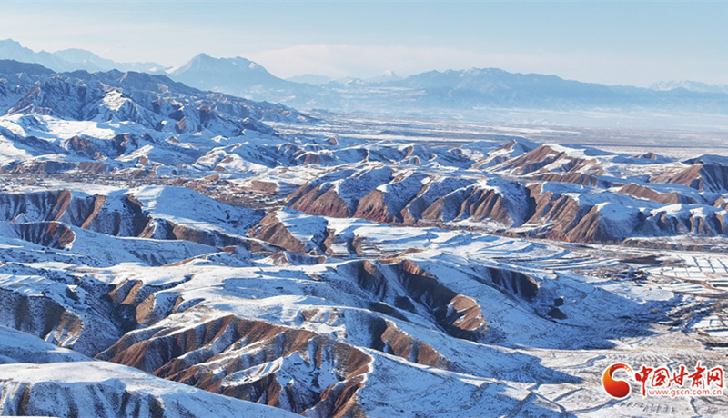 陇拍客丨祁连山万顷沃野显生机