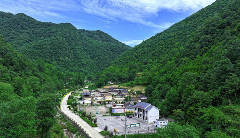 成县：生态筑基绘绿卷 产业富民谱新篇