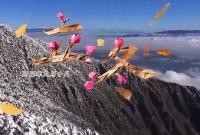 立冬 在沉静中孕育下一场春暖花开