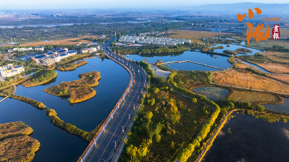 【小陇画报·457期】冬日，张掖湿地回归水墨本色