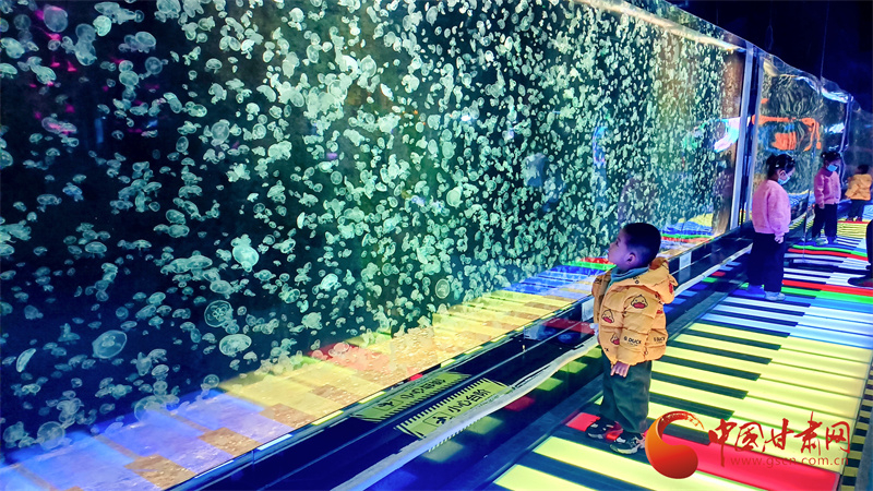 新春走基层|兰州“看海”十年 极地海洋世界以科普点亮学子深蓝梦