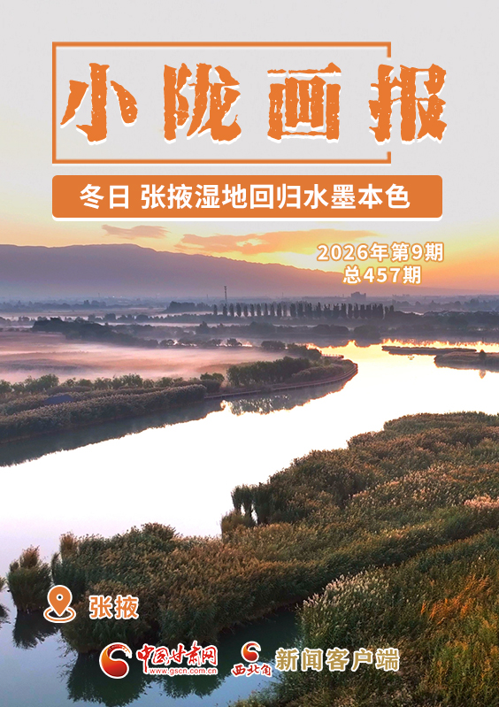 【小陇画报·457期】冬日，张掖湿地回归水墨本色 