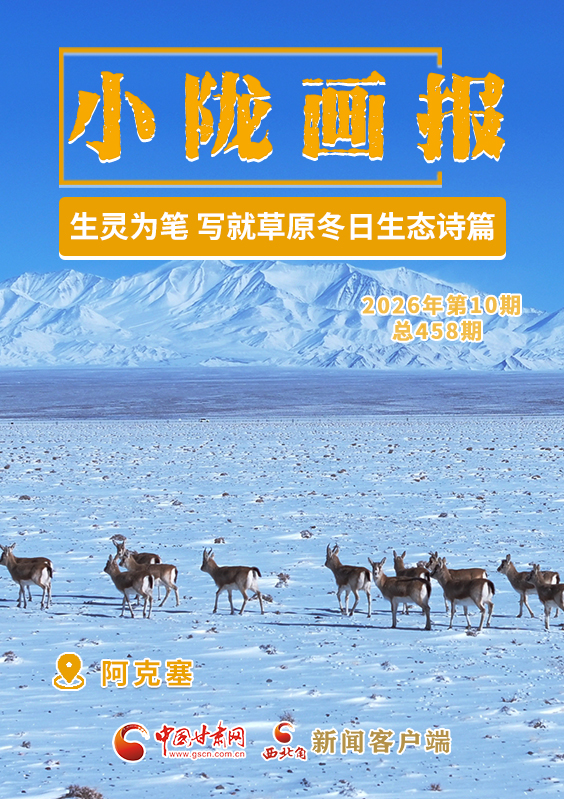 【小陇画报·458期】阿克塞：生灵为笔 写就草原冬日生态诗篇